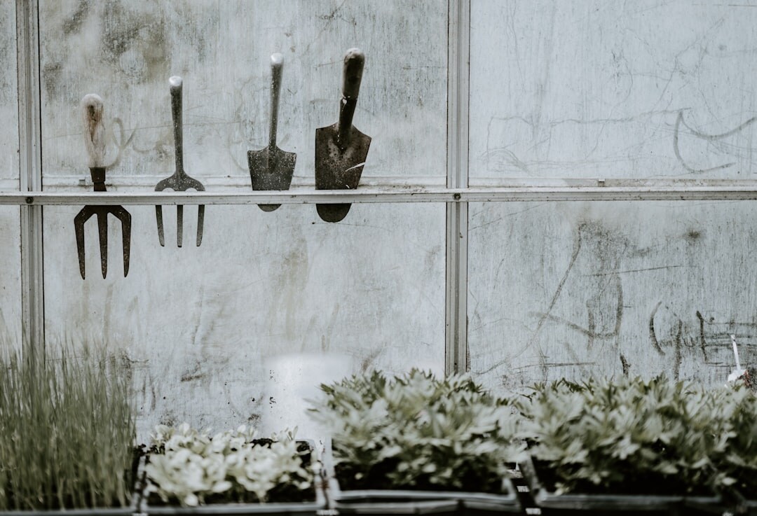 gardening tools on table
