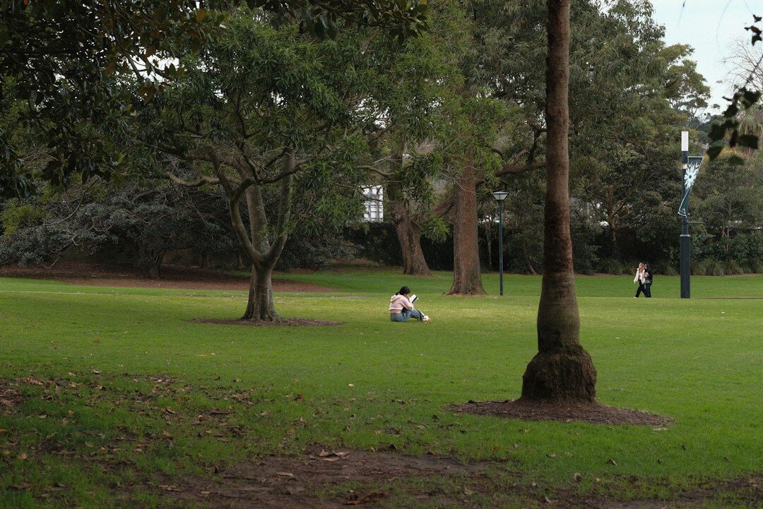 person reading book in garden